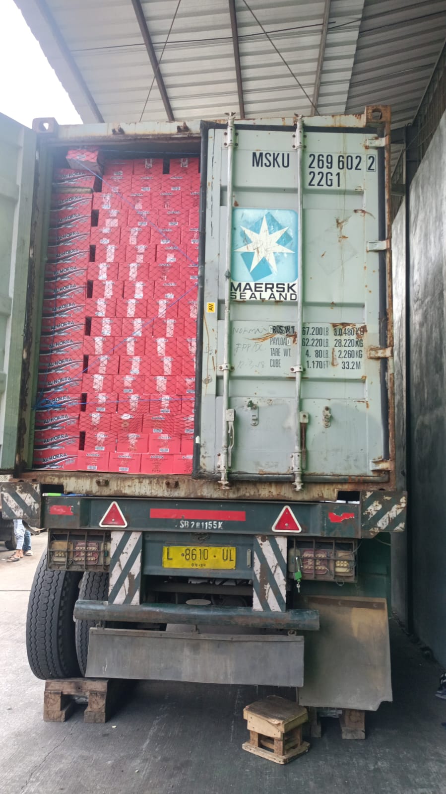 Stuffing Sarden, sent toLibya.jpg